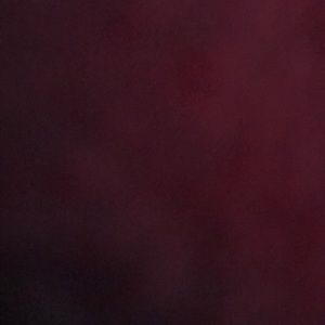 Meet your Posher, Darrell